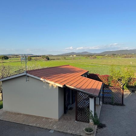 Agriturismo I Debbi 비보나 외부 사진