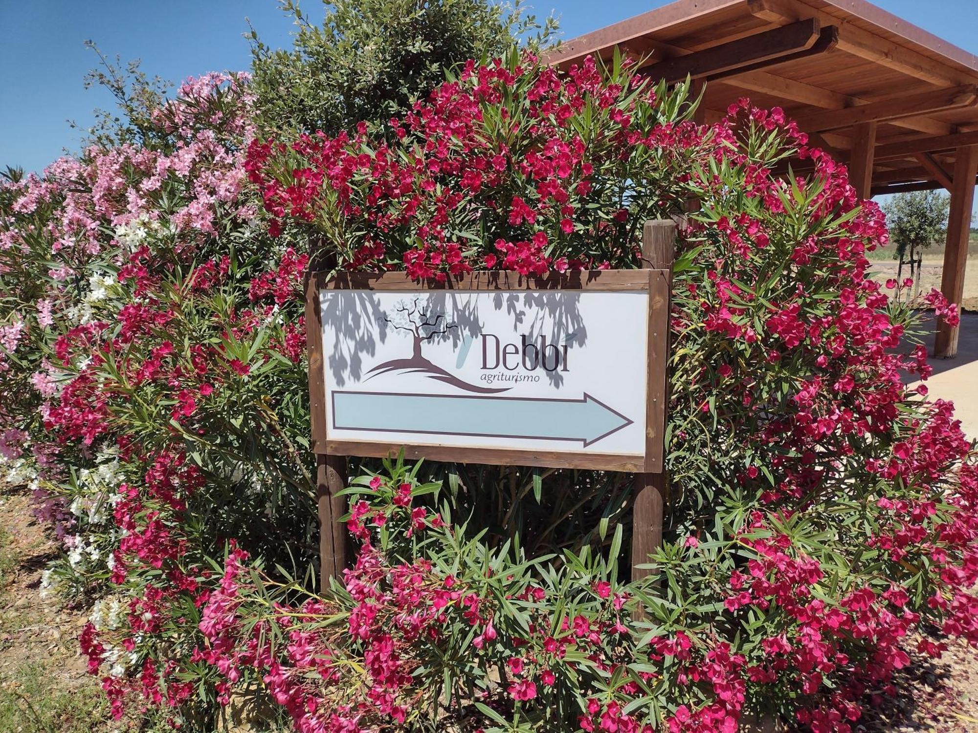 Agriturismo I Debbi 비보나 외부 사진