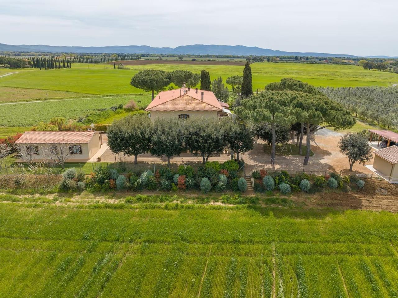 Agriturismo I Debbi 비보나 외부 사진